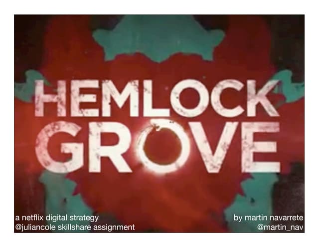 Netflix Digital Strategy for Hemloc...