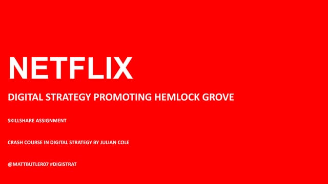 Netflix Digital Strategy