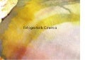 Neto   a emergencia da fotografia e do cinema