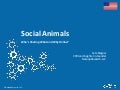 Netpop | Connect: Social Animals 2011 U.S. Teaser