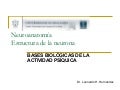 Estructura de la neurona