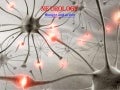 Neurology