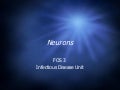Neurons