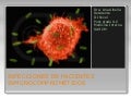 HCM - Neutropenia