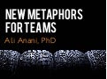 New metaphors for teams