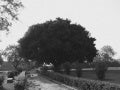Firoz Shah Kotla Fort