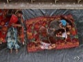 New National Geographic Photos