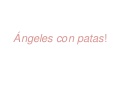 áNgeles con patas!