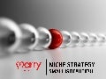 Niche Market - Small Is Beautiful