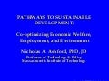 Pathways to Sustainable Development; Co-optimizing Economic Welfare, Employment and Environment