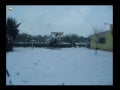 Nieve
