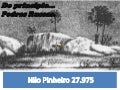 Nilo pinheiro 27975 russas ce