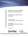 NJVC-Virtual Global PaaS white paper
