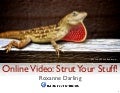 Online Video For Business: Strut Your Stuff