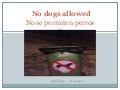 ALFABETO ICONO          No dogs allowed l 18 ne