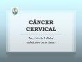 NoçõEs BáSicas Do CâNcer Cervical