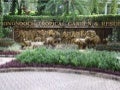 Nong nooch tropical garden