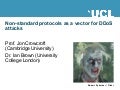 Non-standard protocols as a vector for DDoS attacks