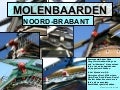 NOORD BRABANTSE MOLENBAARDEN