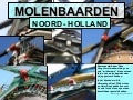 NOORD HOLLANDSE MOLENBAARDEN
