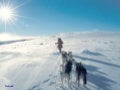 Norway B