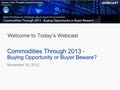 Commodities Through 2013 - Buying Opportunity or Buyer Beware?