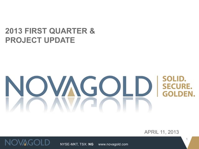 2013 First Quarter & Project Update