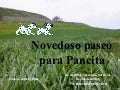 Novedoso paseo para pancita