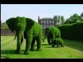 Jardines Japoneses