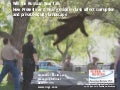 Will the Russian Bear Fall: How Protests and Rising Middle Class Affect Corruption and Private Equity Landscape ( with funny pictures)