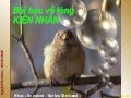 Bài học về lòng kiên nhẫn