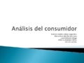 Nucleo analisis del consumidor