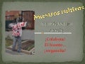 Nuestras plantas. ceip gandhi. 2012 13