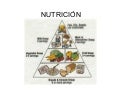 NutricióN