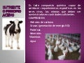 Nutriente o principio activo