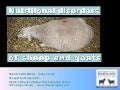 Nutrional disorders nx