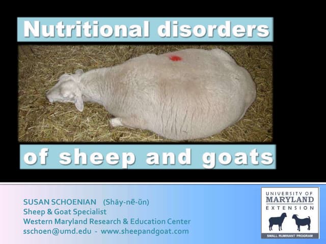 Nutrional disorders nx