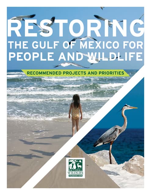 Restoring The Gulf of Mexico for Pe...