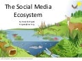Mastering the Social Media Ecosystem (More Advanced Social Media Training)