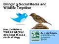 Bringing Social Media and Wildlife Together