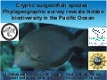 Hidden in plain view: A genetic survey reveals high                   connectivity and a cryptic endemic surgeonfish species in the Hawaiian Archipelago