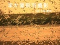 李大偉飛羽攝影 (Nx power_lite)
