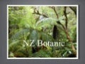 Gardens of New Zealand, Brightwater Holidays Tour, 2014