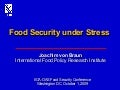Food Security Under Stress