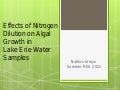 Effects of Nitrogen Dilution