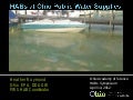 Harmful Algal Blooms