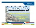 Addressing Harmful Algal Blooms in Grand Lake St. Marys