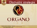 Obchodní strategie (bronzový balíček, stříbrný balíček)