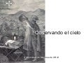 Observando el cielo 2011