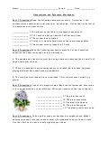 Printables Observation And Inference Worksheet inference and observation activity observations worksheet